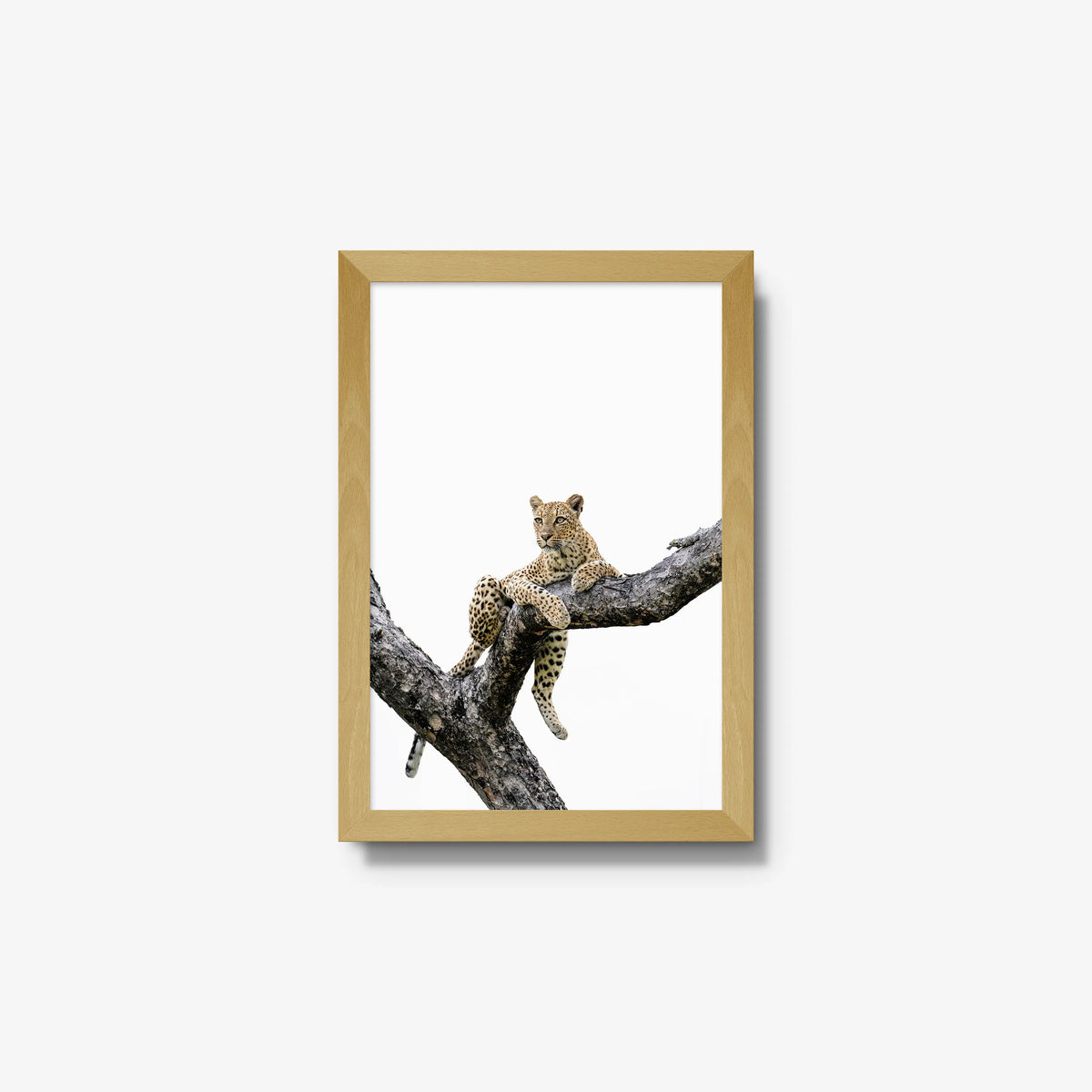 Counterbalance — small / natural / full