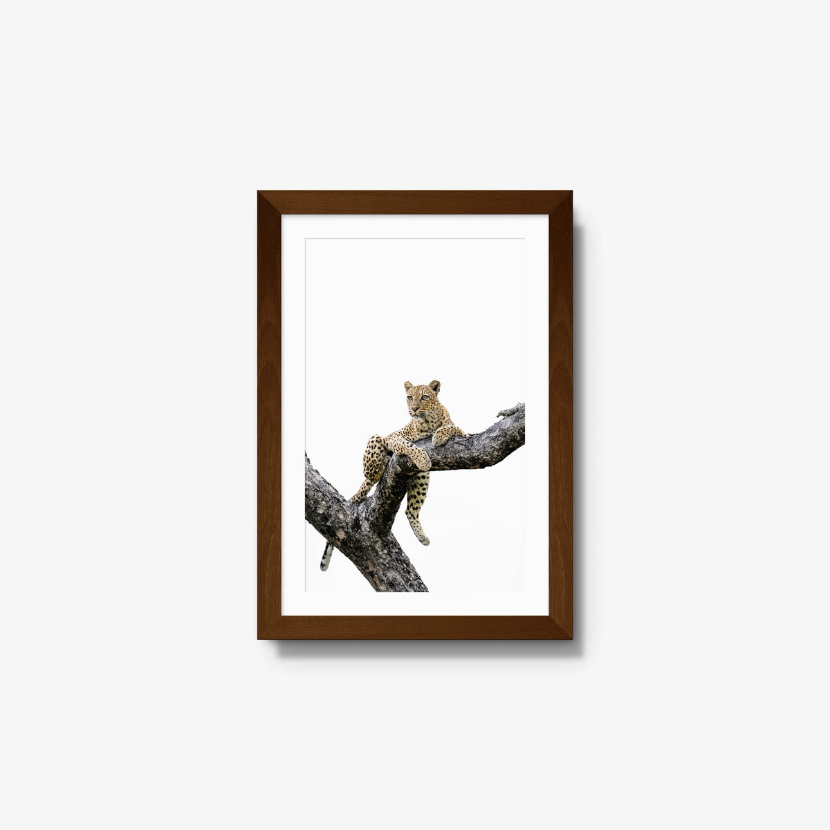 Counterbalance — small / brown / mat