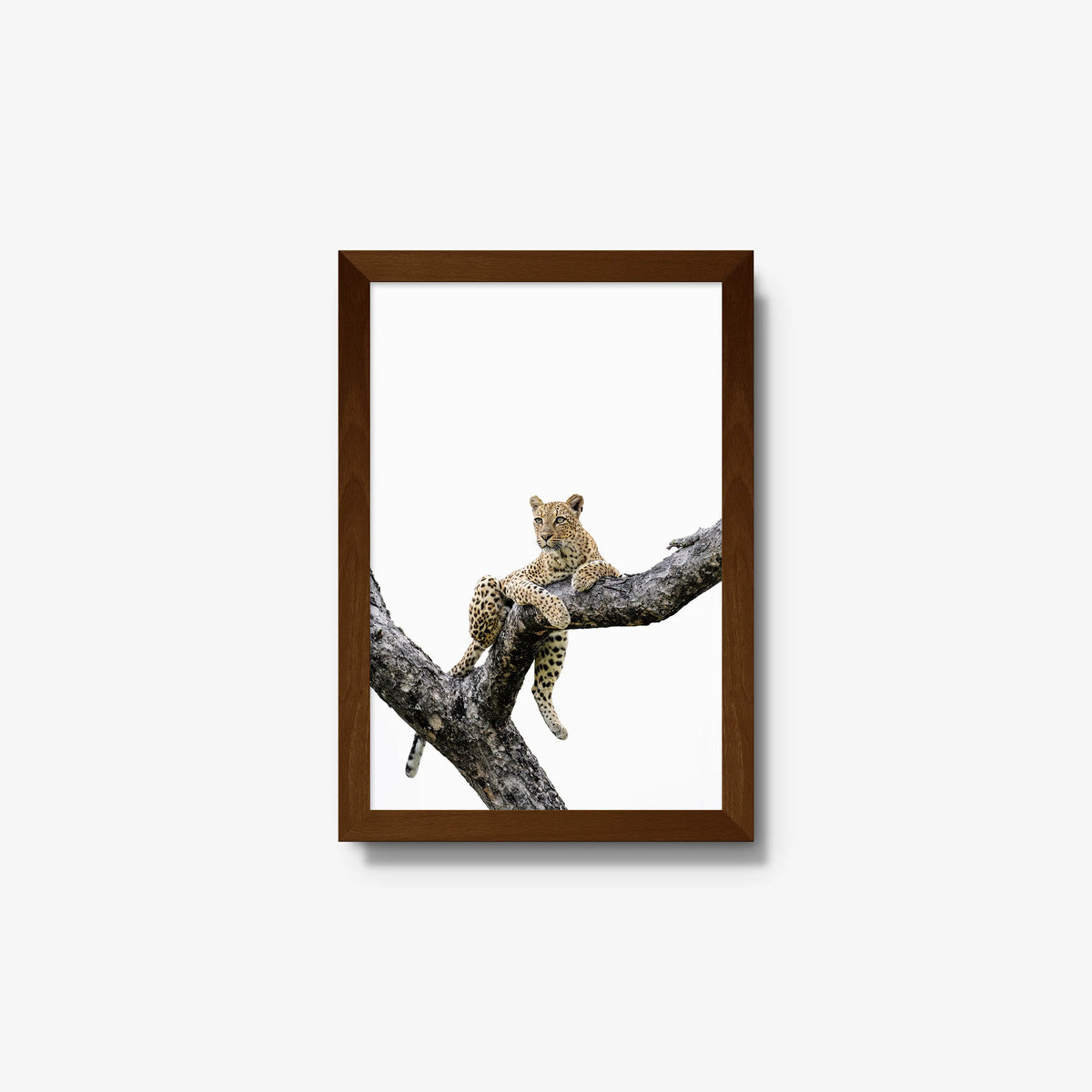 Counterbalance — small / brown / full