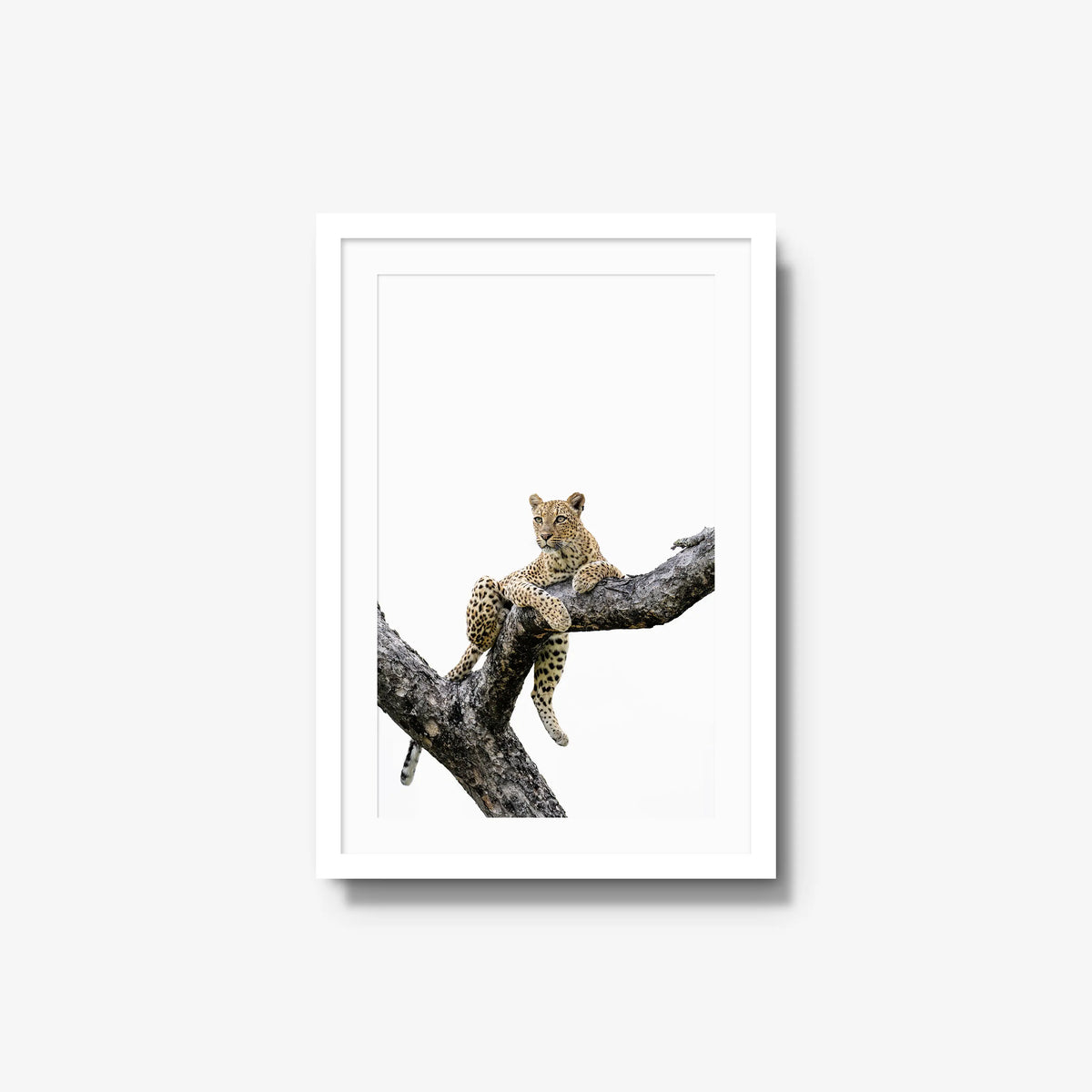 Counterbalance — medium / white / mat