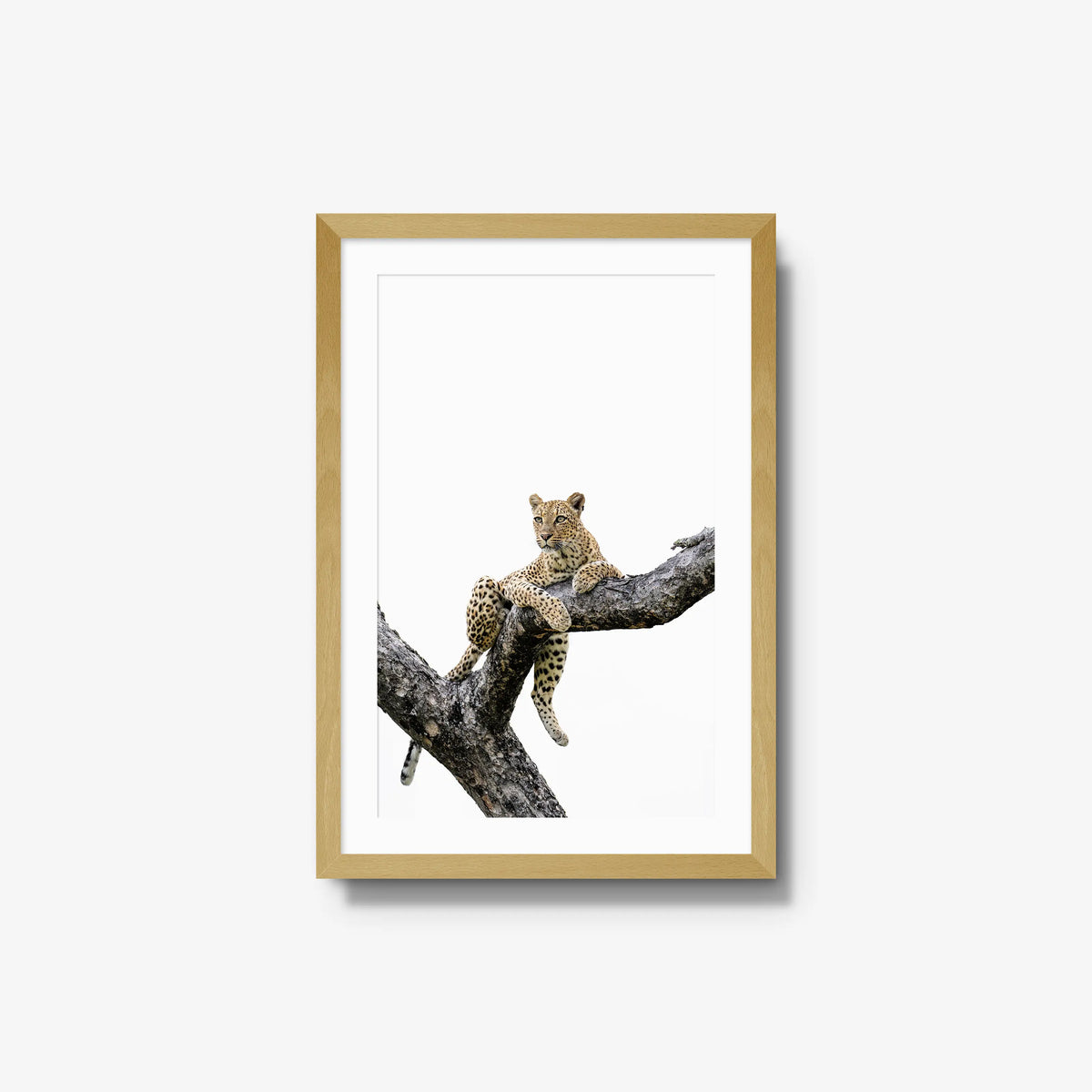 Counterbalance — medium / natural / mat