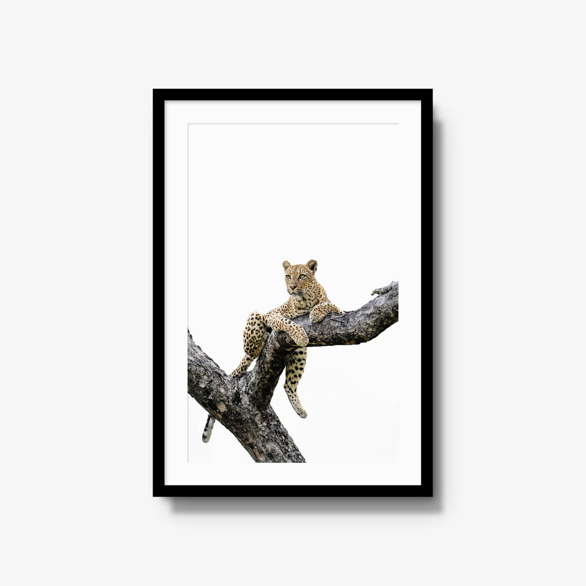 Counterbalance — large / black / mat