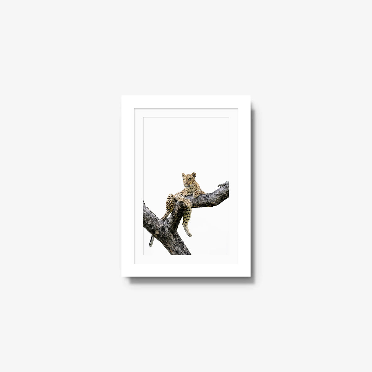 Counterbalance — mini / white / mat