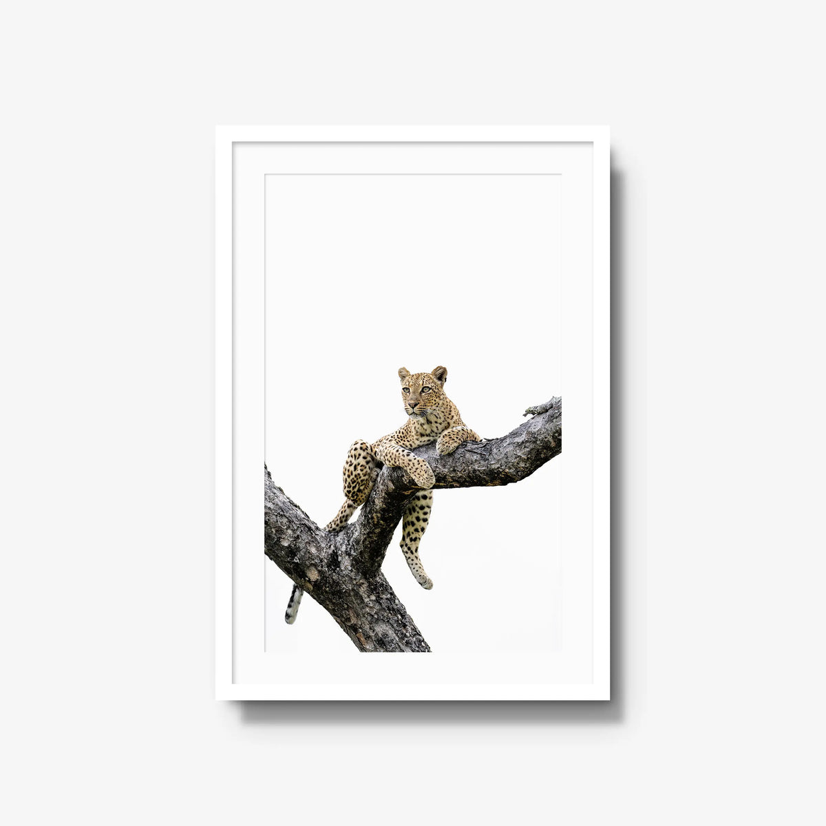 Counterbalance — large / white / mat