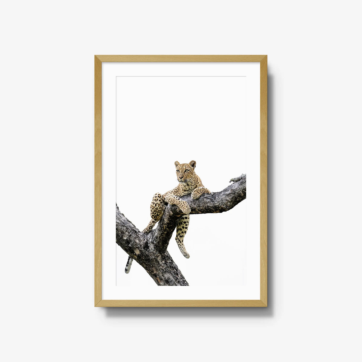 Counterbalance — large / natural / mat