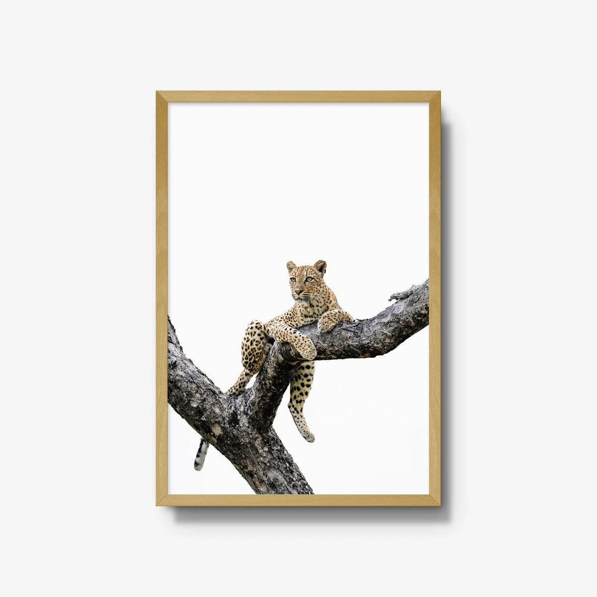 Counterbalance — large / natural / full