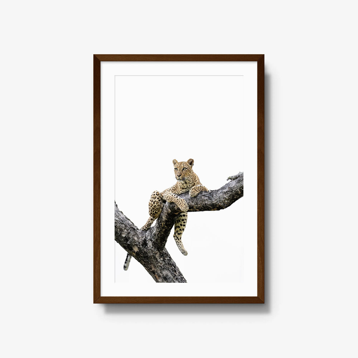 Counterbalance — large / brown / mat