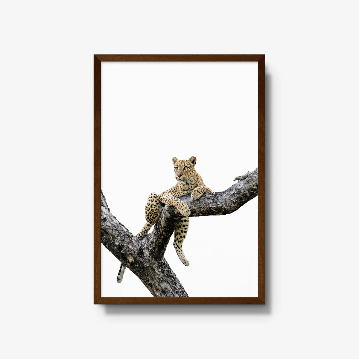 Counterbalance — large / brown / full
