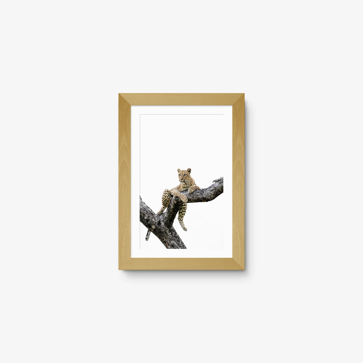 Counterbalance — mini / natural / mat
