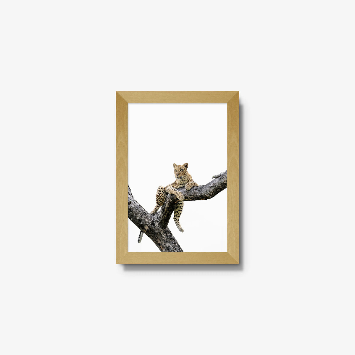 Counterbalance — mini / natural / full