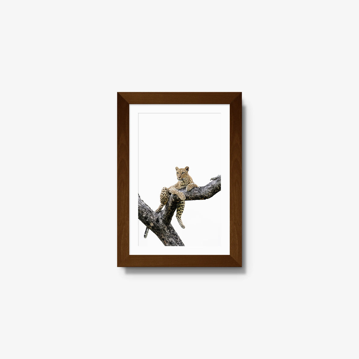 Counterbalance — mini / brown / mat