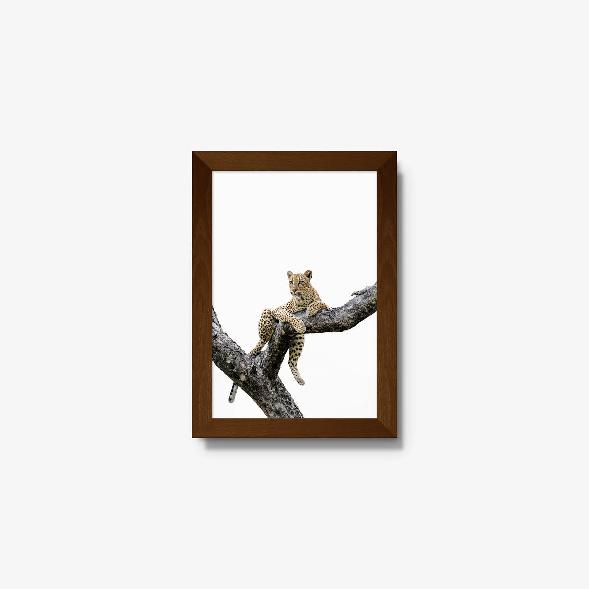Counterbalance — mini / brown / full