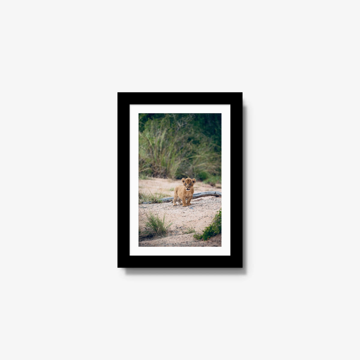 Venture — mini / black / mat