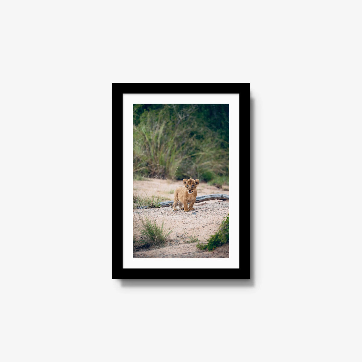 Venture — small / black / mat
