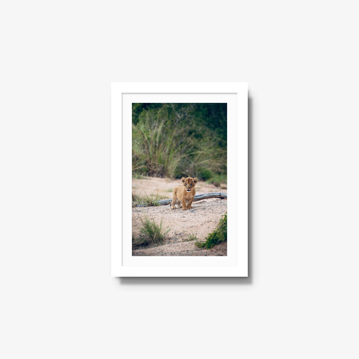 Venture — small / white / mat