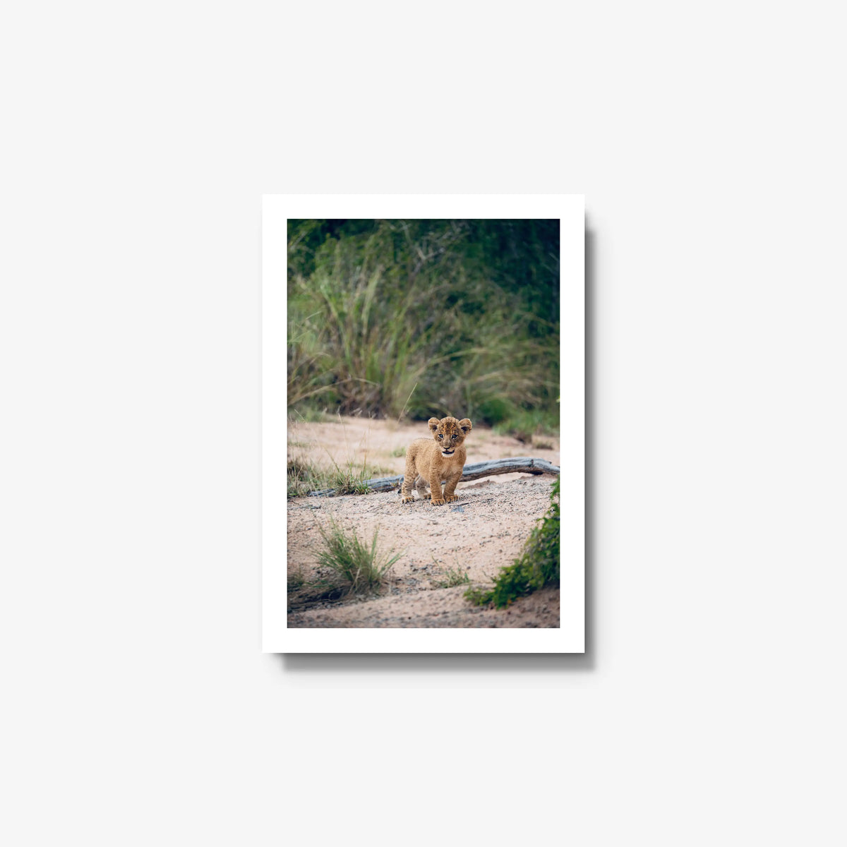 Venture — small / white / full