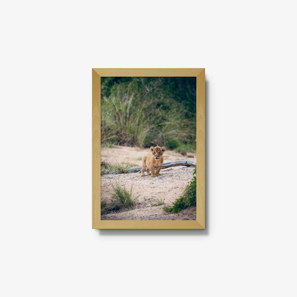 Venture — small / natural / full