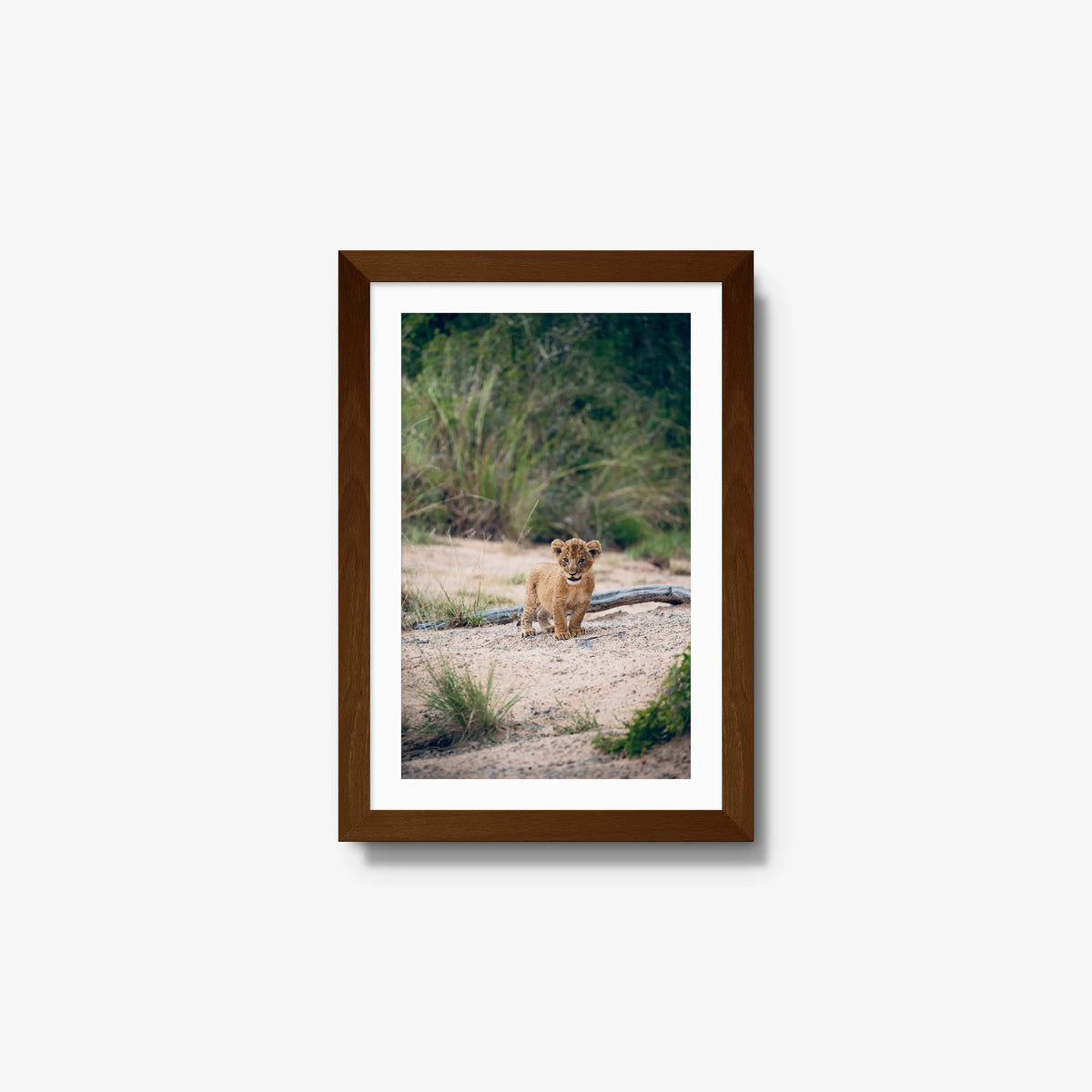 Venture — small / brown / mat