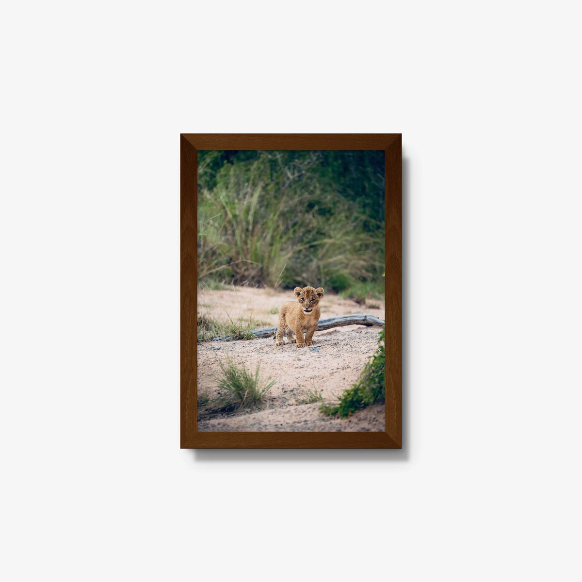 Venture — small / brown / full