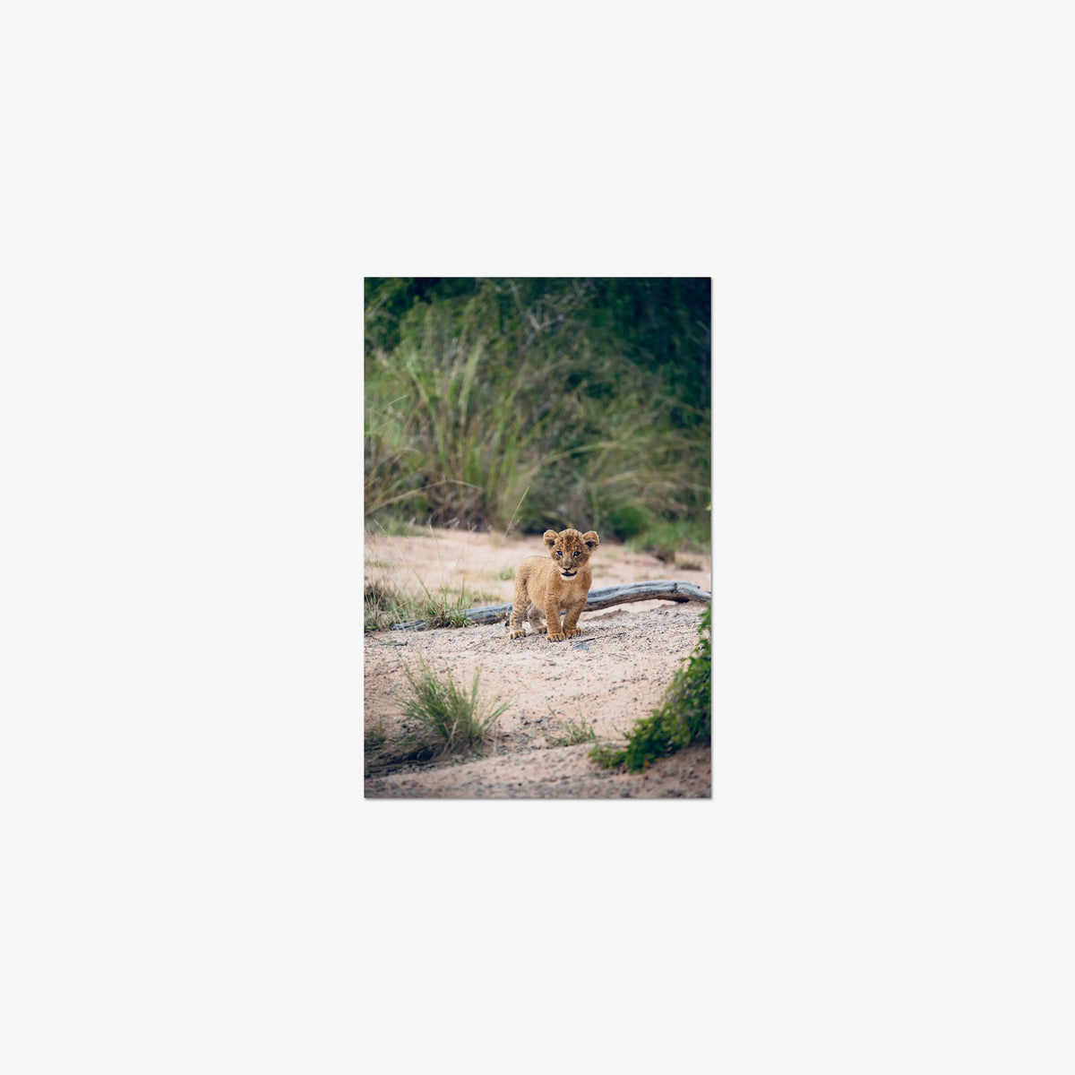 Venture — small / print / n/a