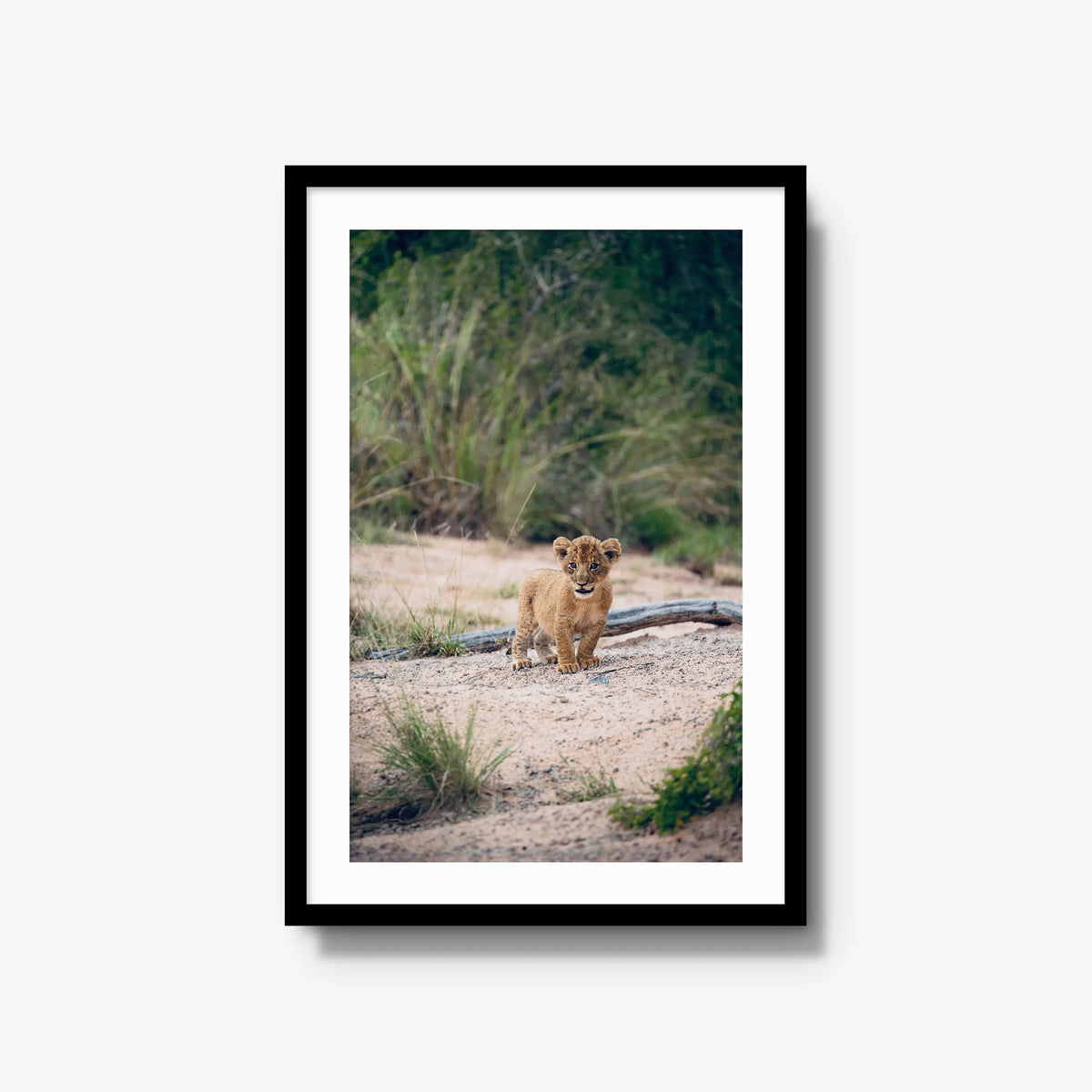 Venture — large / black / mat