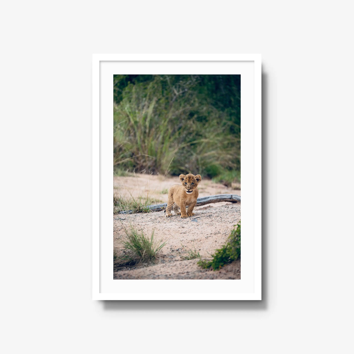 Venture — large / white / mat