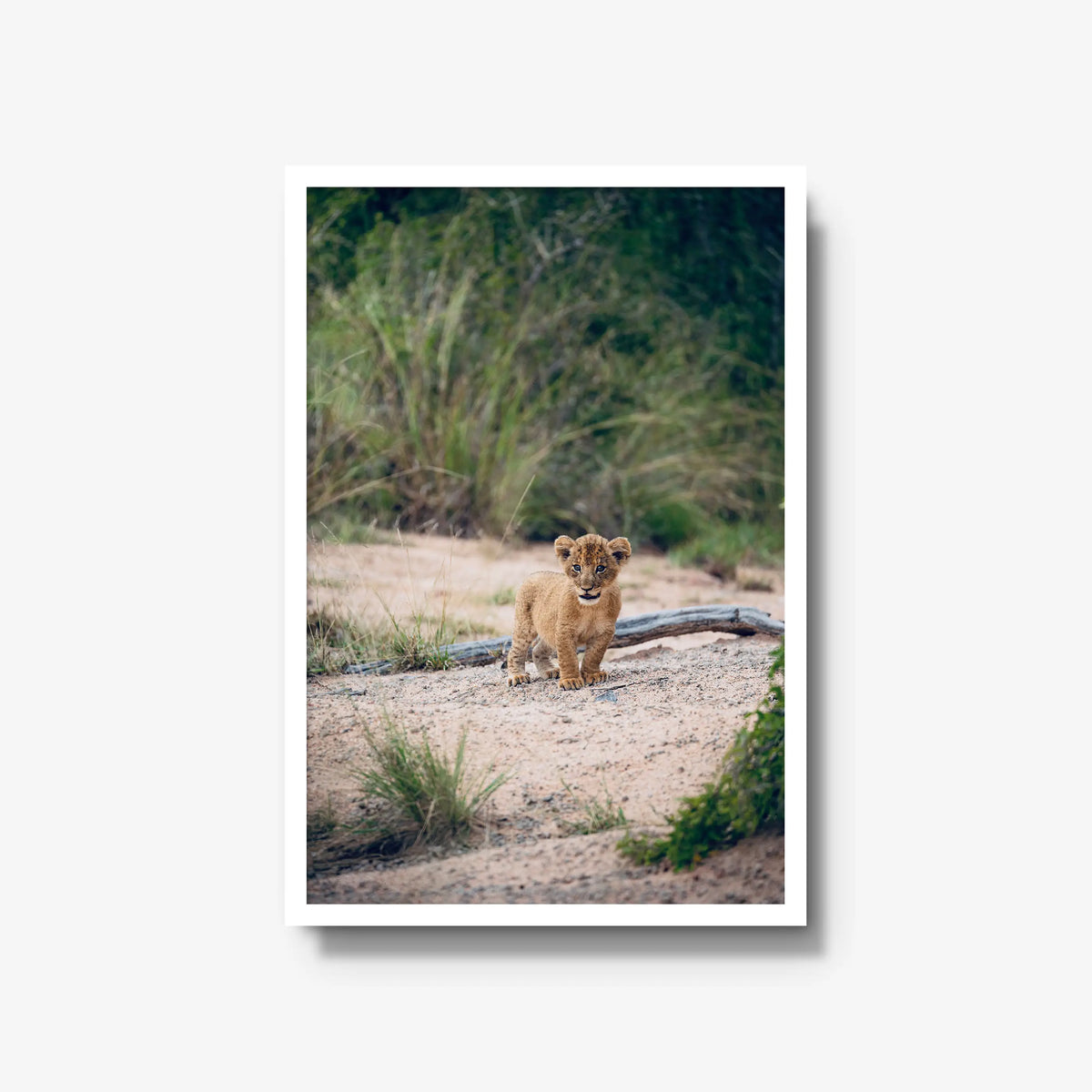 Venture — large / white / full
