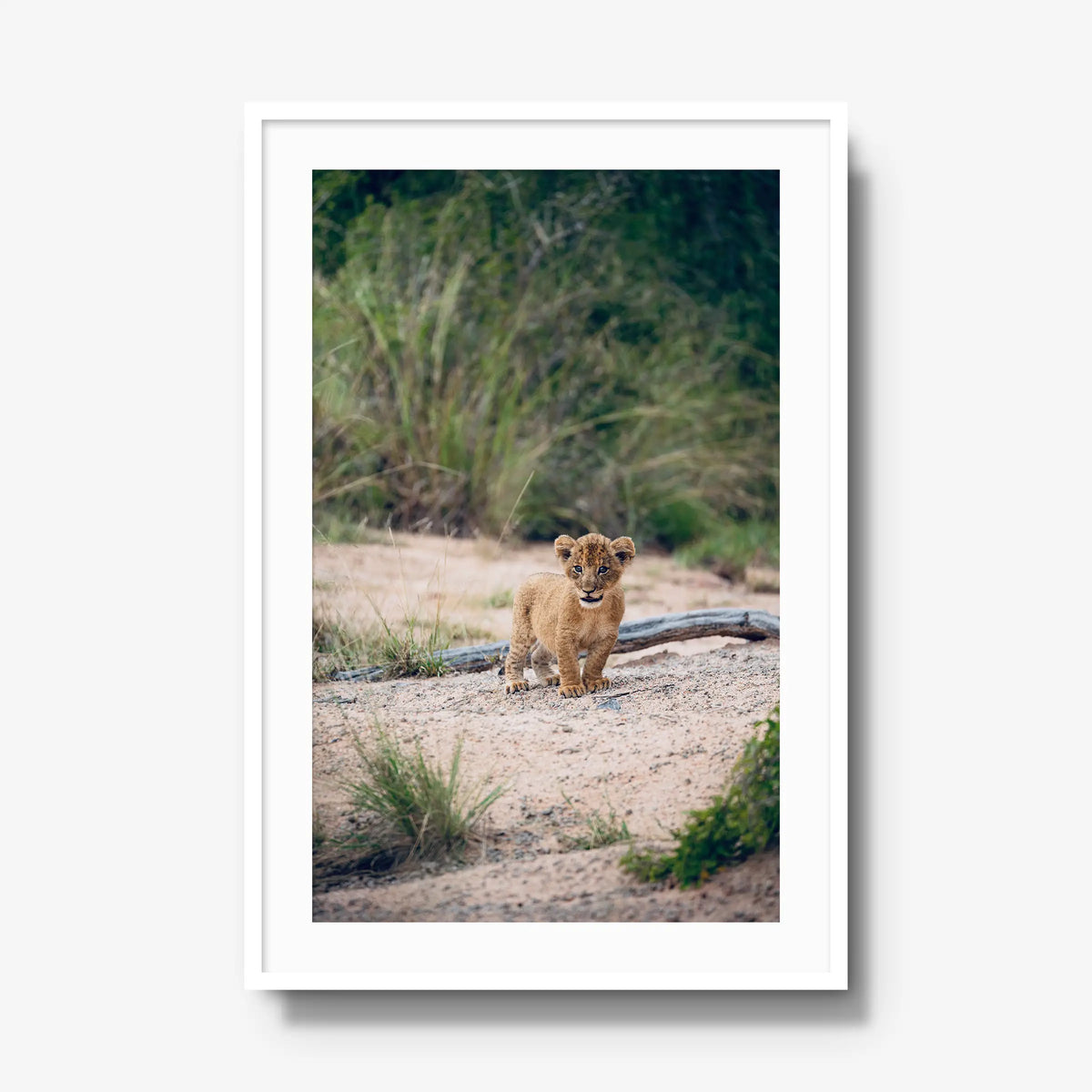 Venture — gallery / white / mat