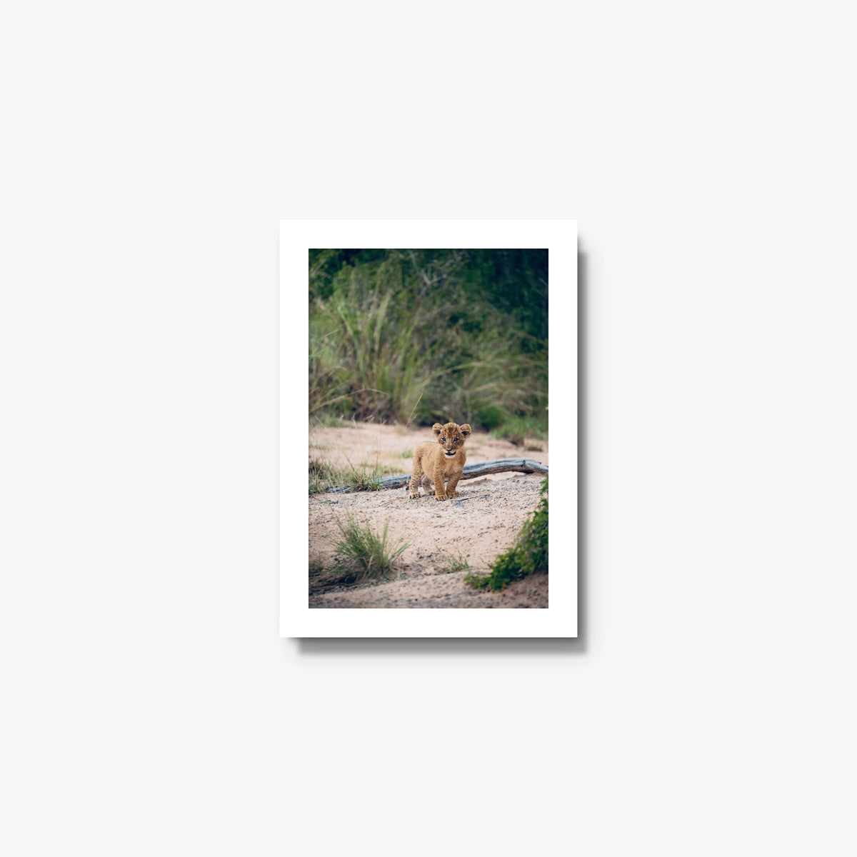Venture — mini / white / full
