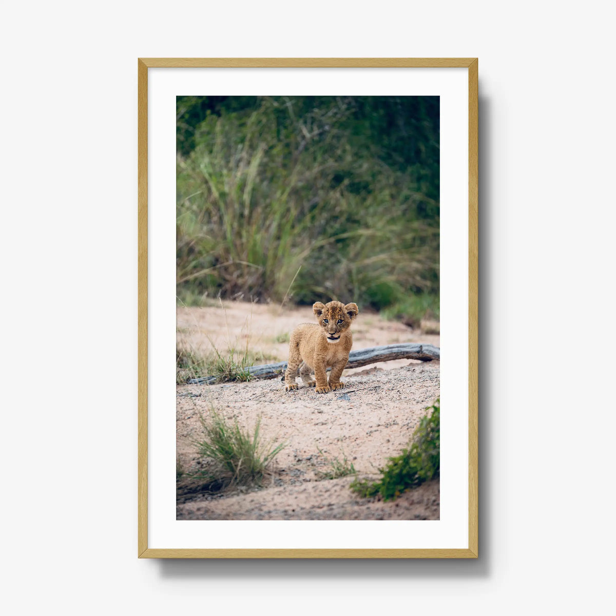 Venture — gallery / natural / mat