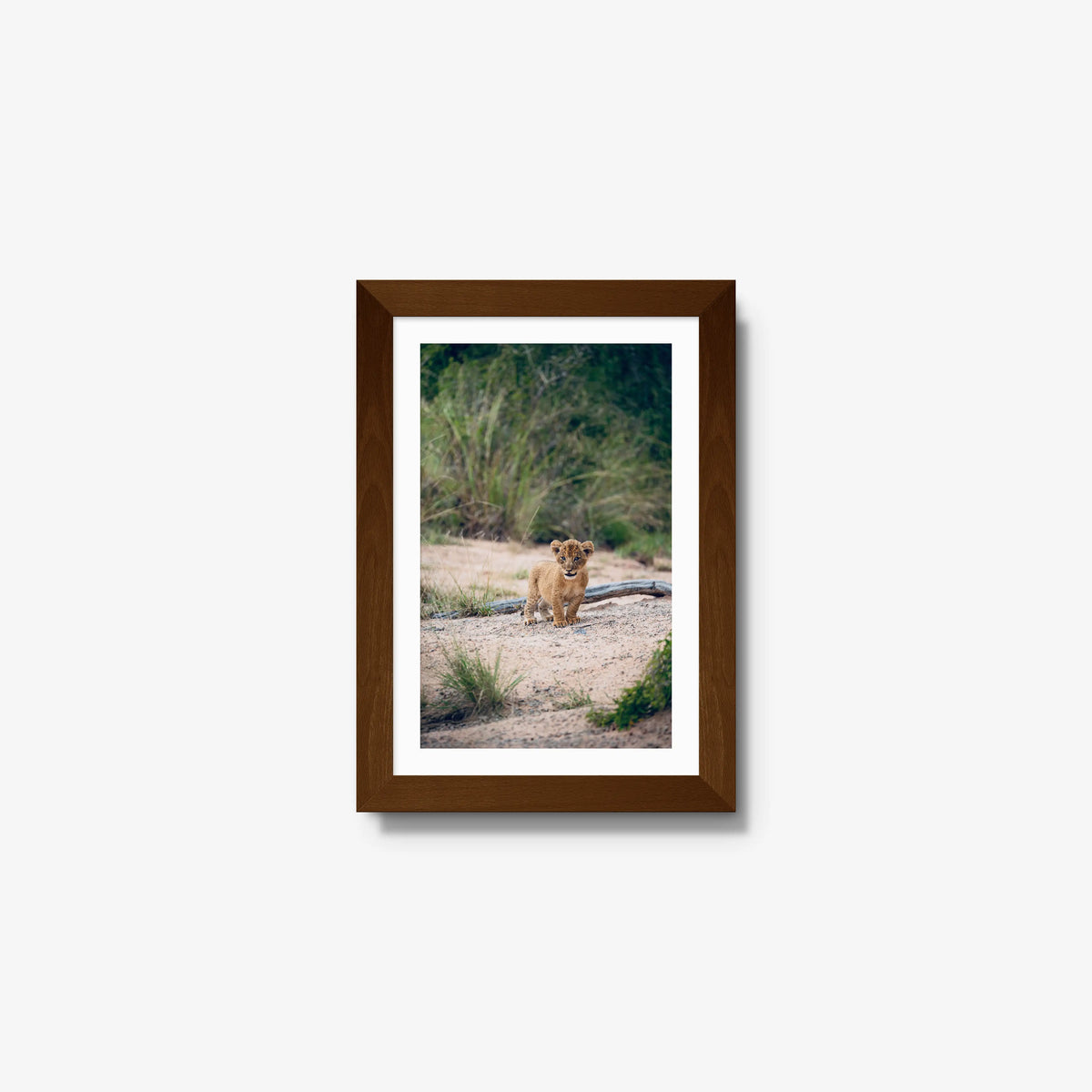 Venture — mini / brown / mat