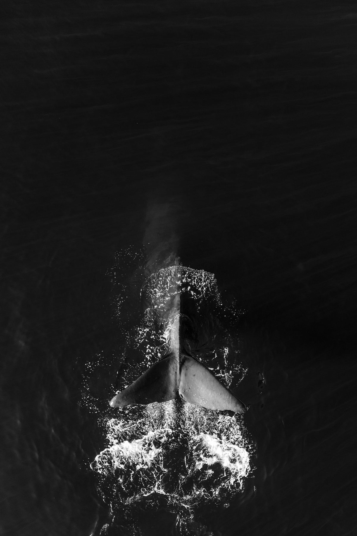 Dive — scroll pan
