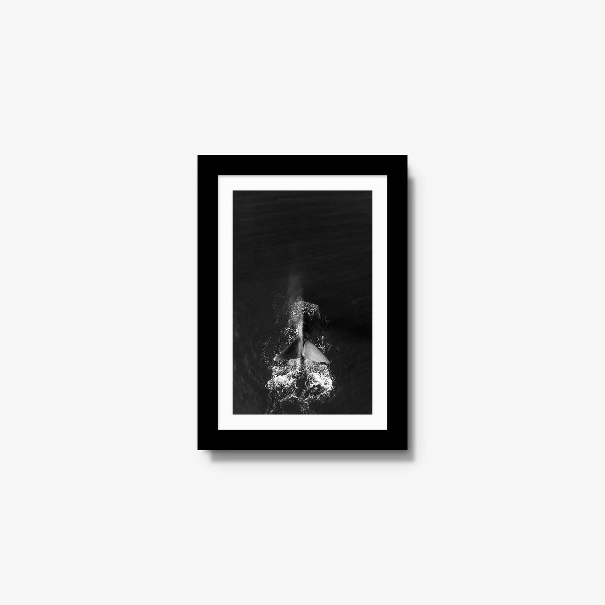 Dive — mini / black / mat