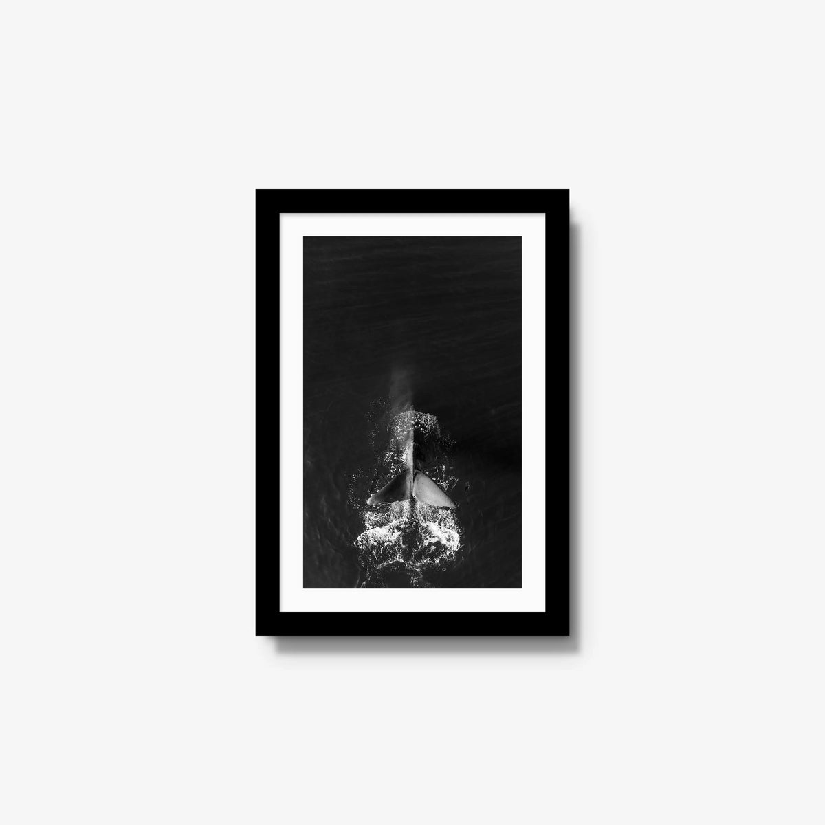 Dive — small / black / mat