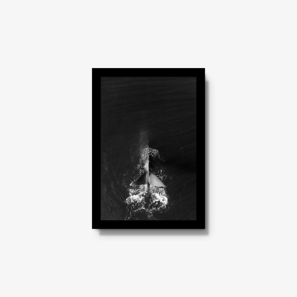Dive — small / black / full