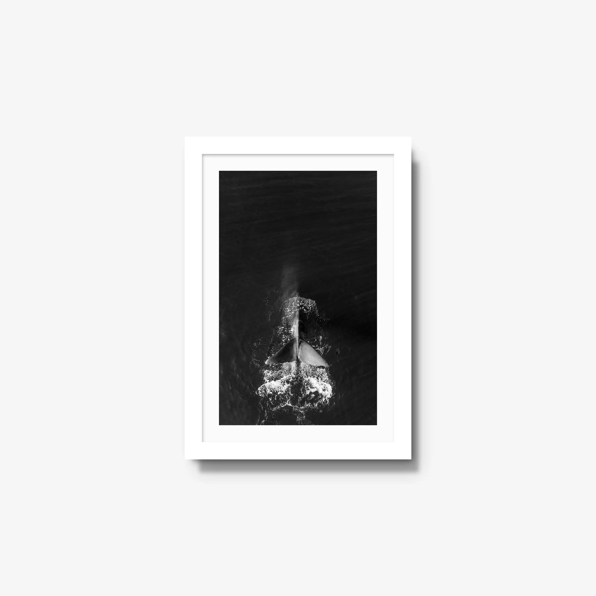 Dive — small / white / mat