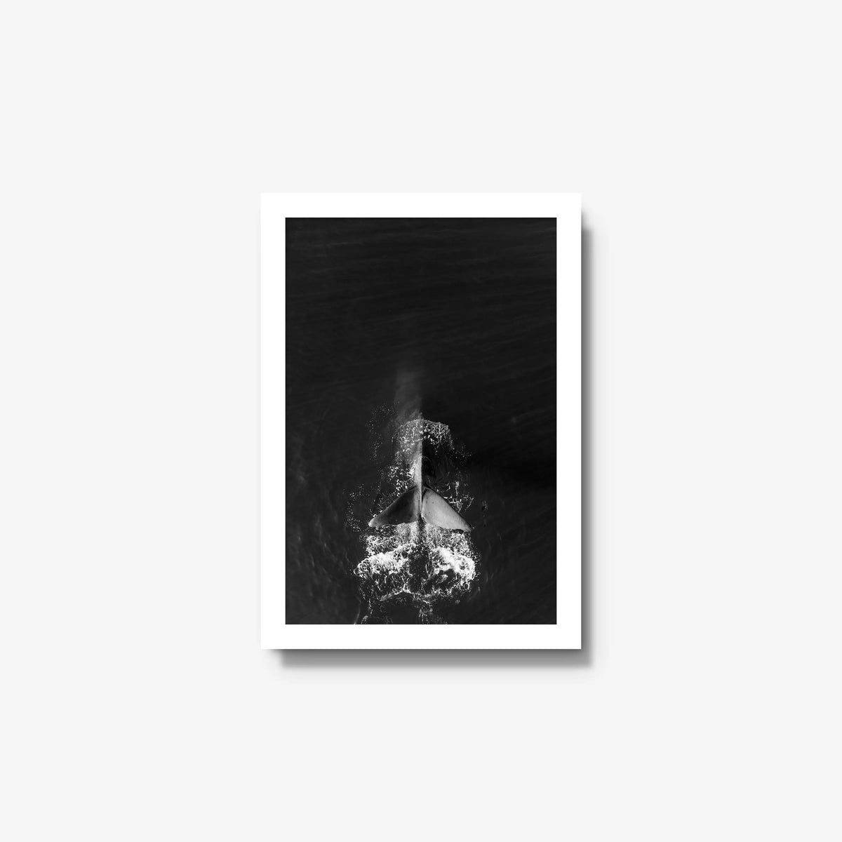 Dive — small / white / full