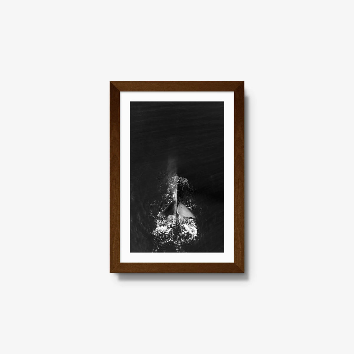 Dive — small / brown / mat