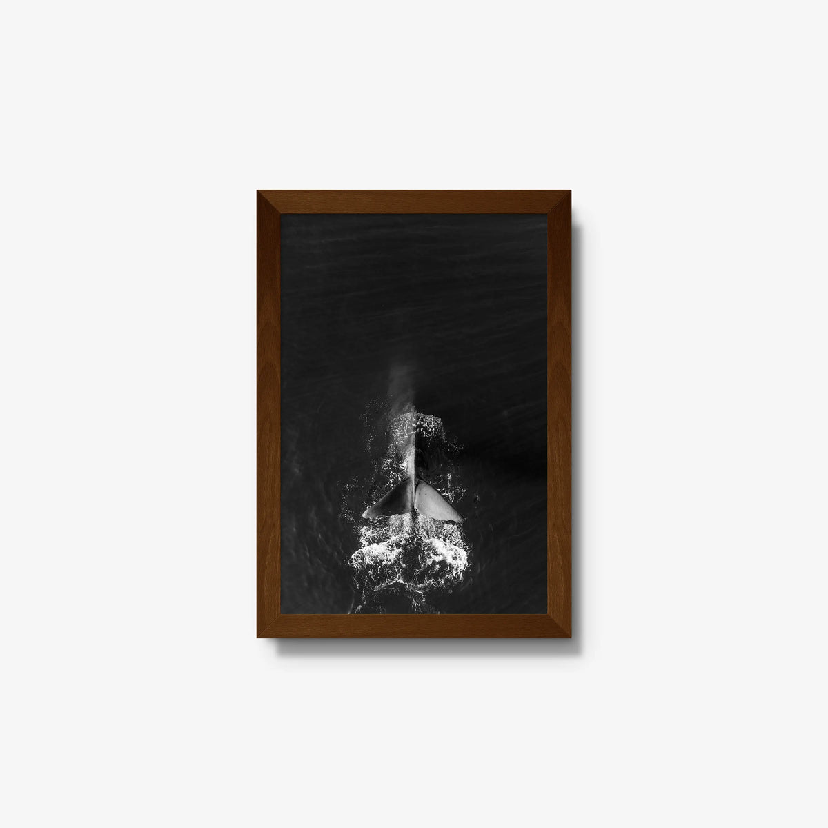 Dive — small / brown / full