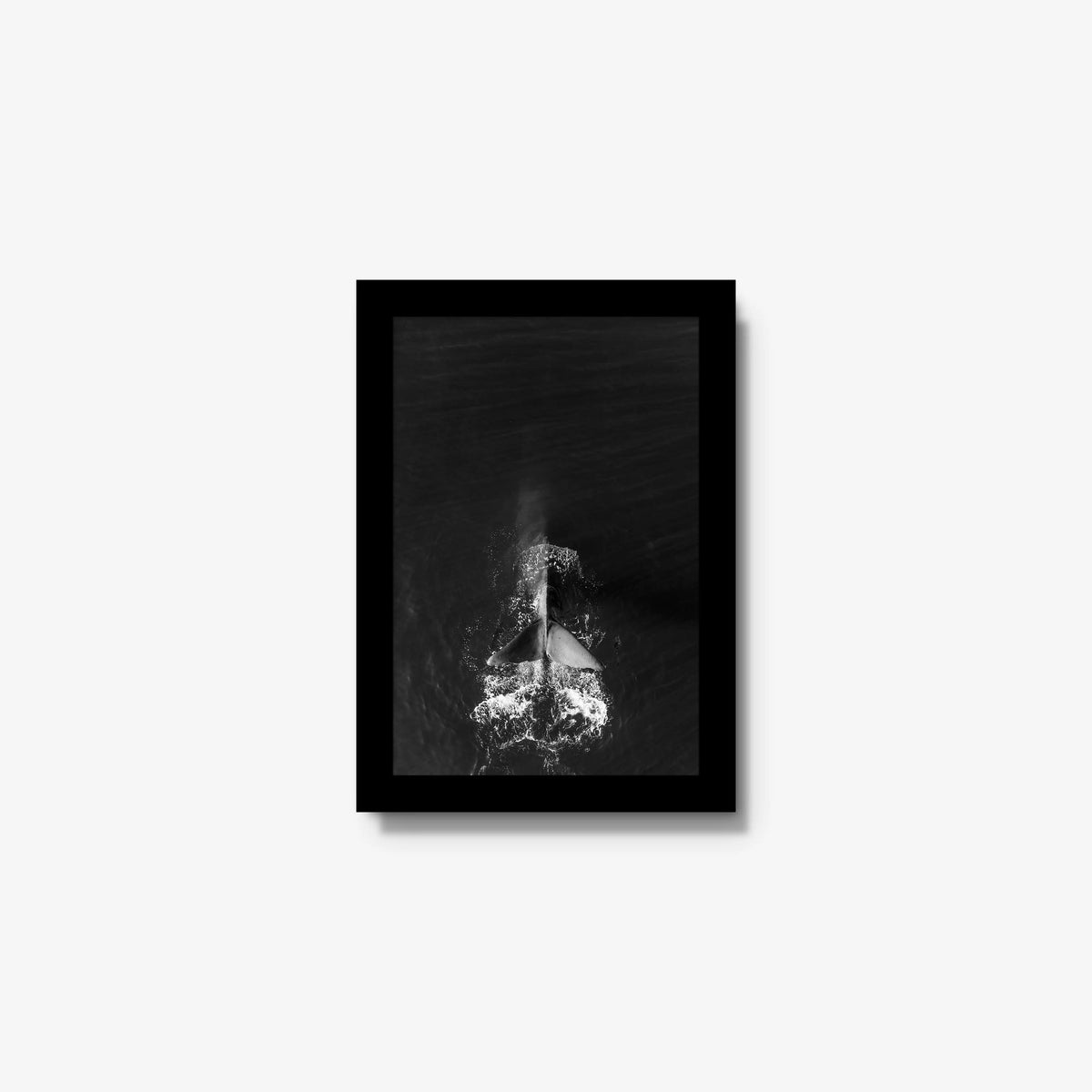 Dive — mini / black / full