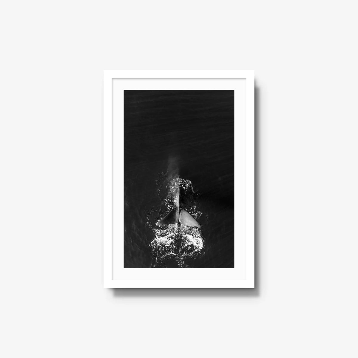 Dive — medium / white / mat
