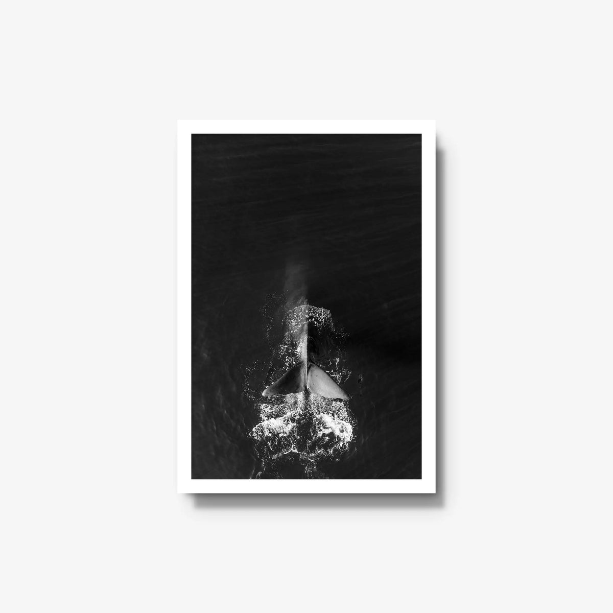 Dive — medium / white / full