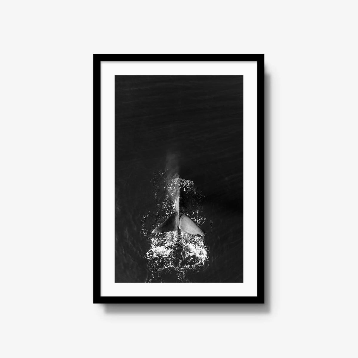 Dive — large / black / mat