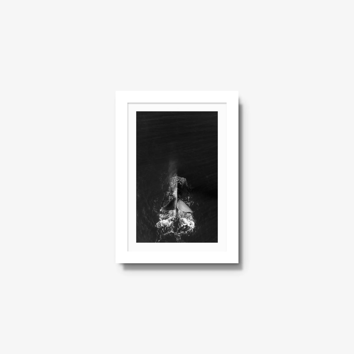 Dive — mini / white / mat