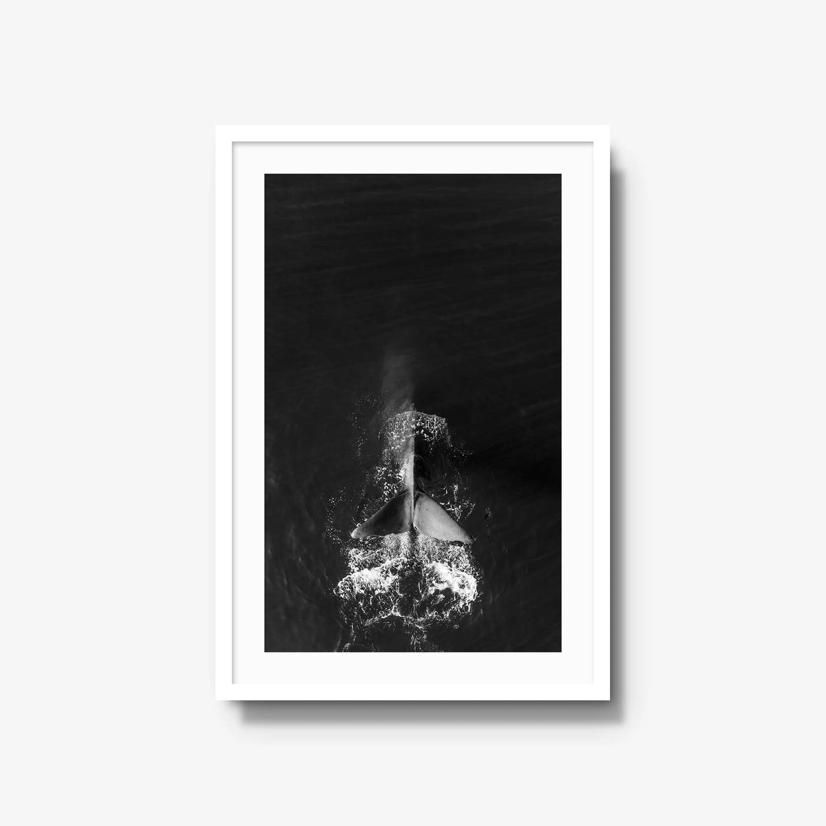 Dive — large / white / mat