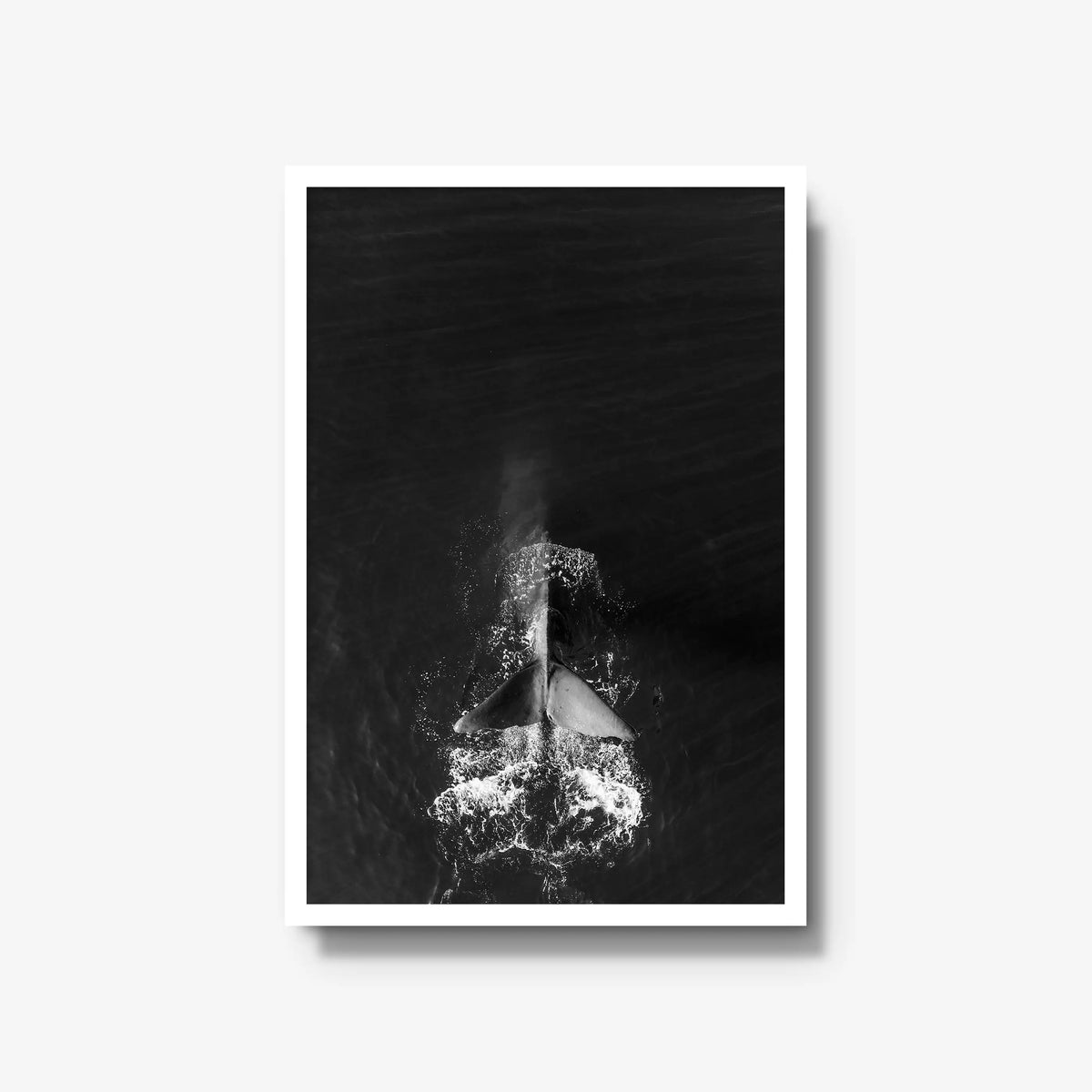 Dive — large / white / full