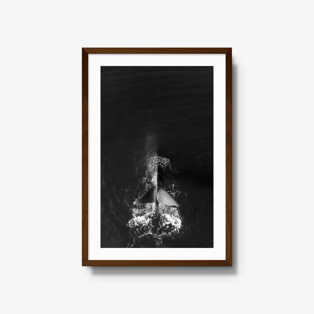 Dive — large / brown / mat