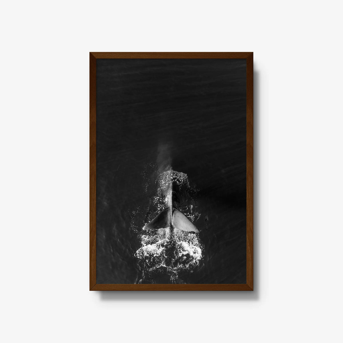 Dive — large / brown / full