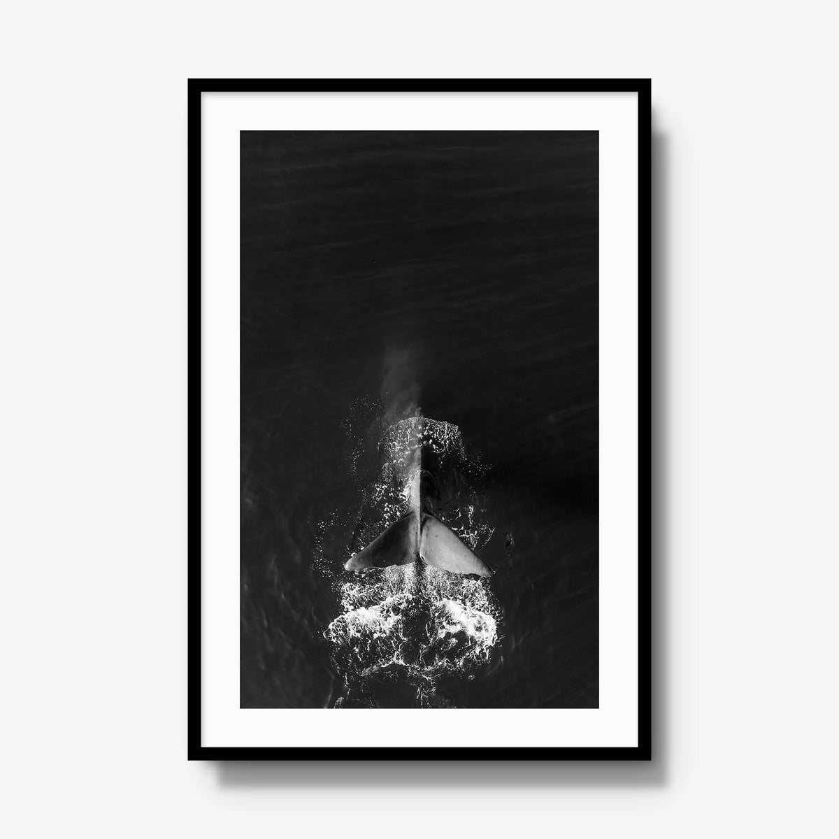 Dive — gallery / black / mat