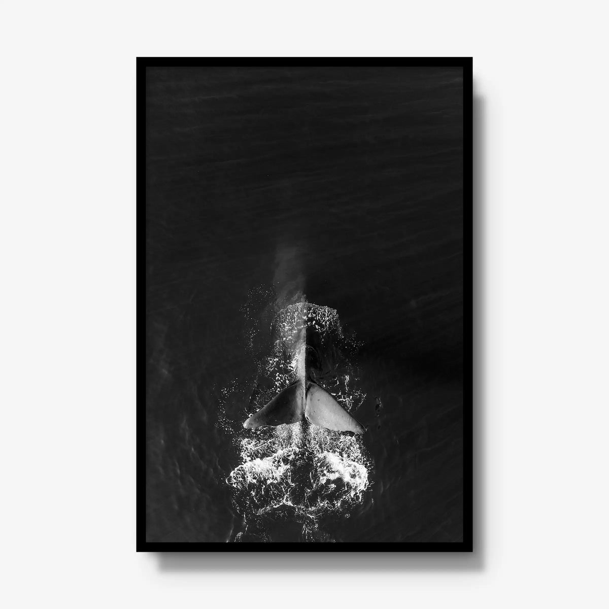 Dive — gallery / black / full